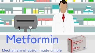 METFORMIN MECHANISM OF ACTION MADE SIMPLE ANIMATED [upl. by Lette924]