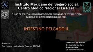 INTESTINO DELGADO II 2023 [upl. by Annahaj925]