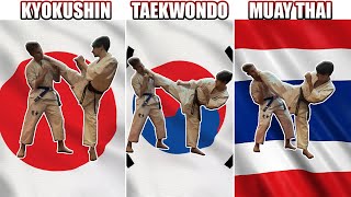 Which Martial Arts Roundhouse Kick is Best [upl. by Martres]