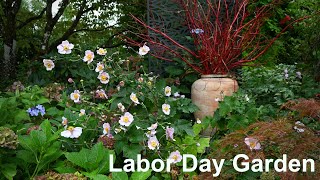 Labor Day Garden [upl. by Ydnys330]