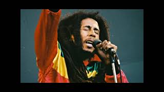 Bob Marley amp The Wailers  Hypocrites live at Reggae Sunsplash [upl. by Harwin]