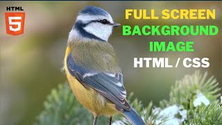 How to add background image in Html  No repeat  Full Screen [upl. by Madella]