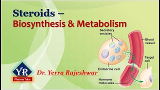 Steroids  Biosynthesis amp Metabolism  Biosynthesis and Metabolism of Steroids  YR Pharma Tube [upl. by Safier]