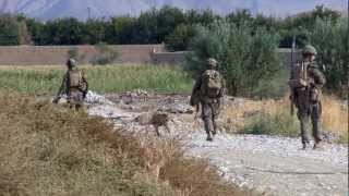 German Wehrmacht soldiers and officers in action 4 [upl. by Esdnyl]