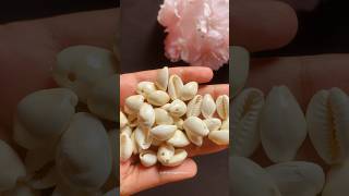 Cowrie shells earrings 😍 song music diycrafts diyearrings cowrieshell viralvideoshorts [upl. by Sucramrej]