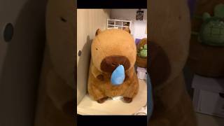 iboop iBOOP capybara peluche peluches fyp plushtoys plush plushies capibara dolls [upl. by Innep]