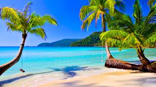 4k UHD Tropical Beach amp Palm Trees on a Island Ocean Sounds Ocean Waves White Noise for Sleeping [upl. by Kaliski]