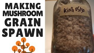 How To Make Mushroom Grain Spawn Preparing the Grain [upl. by Arded]