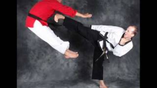 Head Kicks Flexibility and Other Martial Arts KICKPICS [upl. by Eerpud]