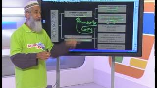 Revision DNA RNA amp Meiosis  Grade 12 Life Science [upl. by Aldora]