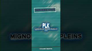 Plk Mignonstoutpleins Remix By Kalem Beats [upl. by Tamsky]