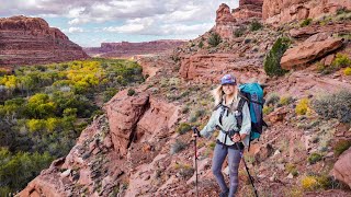 TARANTULAS SLOT CANYONS amp WALKING ON LEDGES  Backpacking ESCALANTE UTAH  Choprock  Neon Canyon [upl. by Naxela536]