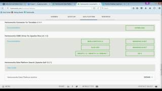 Installing amp configuring Hortonworks Hive ODBC driver [upl. by Adnohsar]