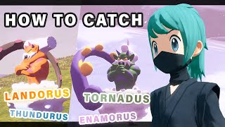 Where to find Tornadus Thundurus Landorus amp Enamorus ► Pokemon Legends Arceus [upl. by Nolitta845]