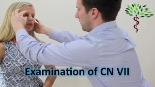 Facial nerve examination Cranial nerve 7 [upl. by Marta]