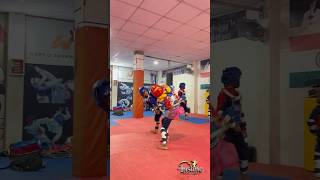 Taekwondo kids sparring taekwondo tkd sparring [upl. by Acsehcnarf]