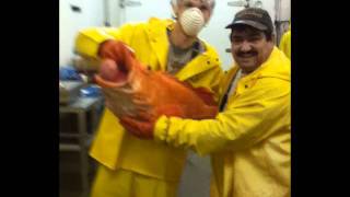 trabajadores del freezer de trident seafood [upl. by Anniken16]