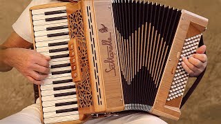 Italian Music TARANTELLA NAPOLETANA accordion Fisarmonica Akkordeonmusik Acordeon The Godfather [upl. by Anaejer]