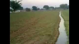 kithey gaiyan pind diyan tahliyan village naryal  YouTubeFLV [upl. by Lapo321]