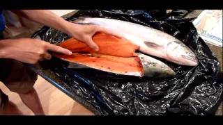 How to fillet a sockeye salmon [upl. by Cathrin]