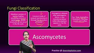 Fungi Classification Phycomycetes Ascomycetes Basidiomycetes Deuteromycetes [upl. by Georgeanne]