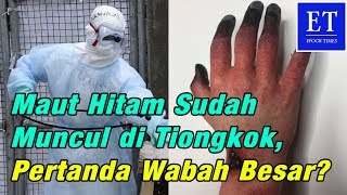 Maut Hitam Yang Mematikan 23 Penduduk Eropa Muncul di Tiongkok Pertanda Wabah Besar [upl. by Kent]