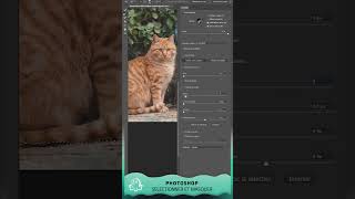 Short Photoshop  Selectionner et masquer [upl. by Abate]