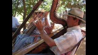 Traditional Paraguayan Harp Music [upl. by Lesslie489]