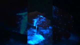 This water glows in the dark relaxing [upl. by Longawa]