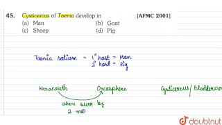 Cysticercus of Taenia develop in  11  ANIMAL KINGDOM  BIOLOGY  ERRORLESS  Doubtnut [upl. by Xam206]