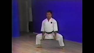 Goju ryu kata Sepai side view Slow [upl. by Aivatahs339]