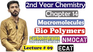 2nd Year Chemistry Chapter 14 Macromolecules Biopolymers Carbohydrates Oligosaccharides Lec 9 [upl. by Ranilopa154]