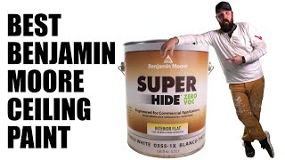 Benjamin Moore Super Hide  Pro Painter Review [upl. by Pascasia]