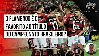 O FLAMENGO É O FAVORITO AO TÍTULO DO CAMPEONATO BRASILEIRO  CORTES do SPORTS ARENA [upl. by Emyam]