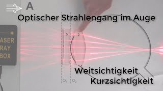 Optischer Strahlengang im Auge Weitsichtigkeit Kurzsichtigkeit Physik Optik Experiment [upl. by Atinahs]