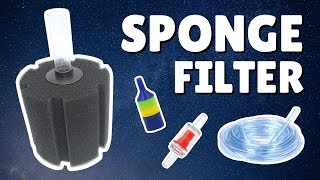 How to Install a Sponge Filter  3 Bonus Tips [upl. by Miof Mela171]