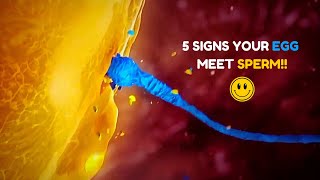 5 Major Signs Your Egg Has Been Fertilized  Egg and Sperm Meet Symptoms [upl. by Aisor]