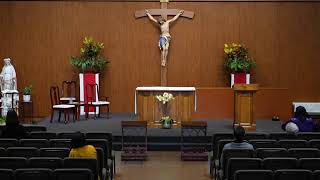 STM Livestream 8AM Monday Mass [upl. by Bearce]