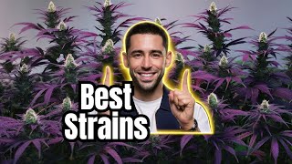 Top Cannabis Strains for Newbies [upl. by Callie]