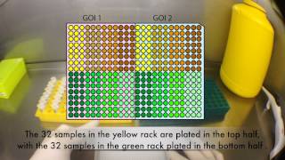 Setting up a 384 Well qRTPCR Assay for the ViiA7™ using Viaflo Electronic Pipettes [upl. by Jumbala]