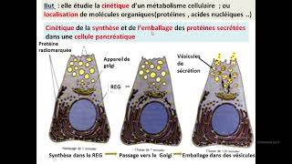 Cytologieبالعربية  2 Les méthodes détude de la cellule  Part 3 MEB  Les techniques [upl. by Naryt]