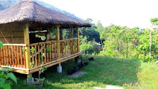 Nagtanim at Nag IHAW kami Ng Barbecue Dito sa aking bagong Bahay KUBO [upl. by Irianat198]