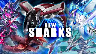 Shark Armored Xyz Reaches New Depths  7 Interruptions [upl. by Hsirrap505]