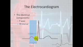 Basic Electrophysiology part 4  The Bumps and Squiggles [upl. by Eisseb]