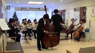 20171209 ドラゴネッティ コントラバス協奏曲1楽章 Dragonetti Double Bass Concerto in A major Mov1 [upl. by Eillim]