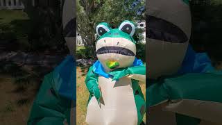 Will you be Boggy froggy friend funny frog subscribe short shorts [upl. by Jermyn]