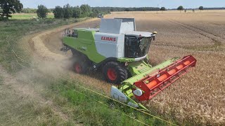 CLAAS LEXION 740 bei der Gersteernte  Ernte 2024  4K [upl. by Sitnerp]