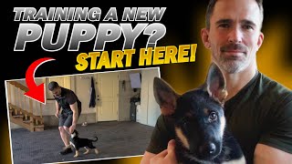 First Step to Training Your New Puppy [upl. by Ritter929]