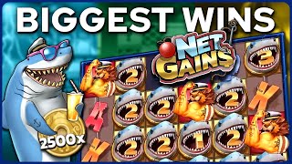 Top 5 Biggest Slot Wins on Net Gains [upl. by Lock585]