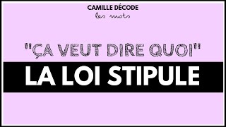 Pourquoi LA LOI NE STIPULE PAS   Camille décode [upl. by Adnih35]